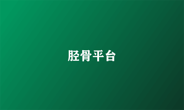 胫骨平台