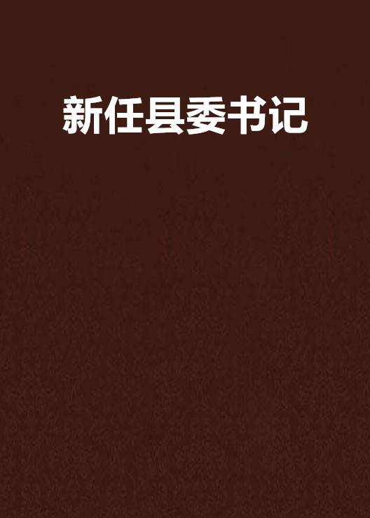 新任县委书记（小说名称）