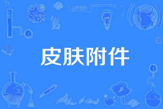 皮肤附件