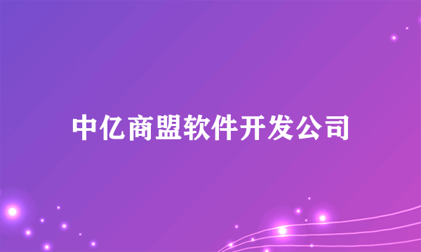 中亿商盟软件开发公司