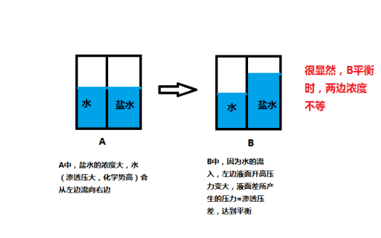 高渗透压作用
