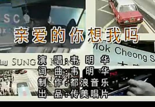 亲爱的你想我吗（韦明华演唱的歌曲）