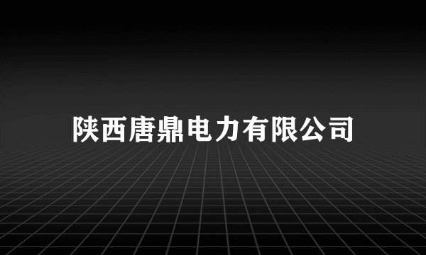 陕西唐鼎电力有限公司
