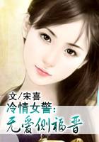 冷情女警：无爱侧福晋