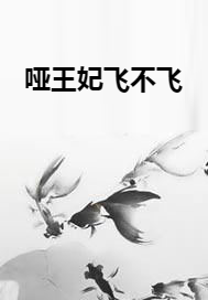 哑王妃飞不飞