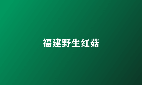 福建野生红菇