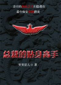 佣兵之王：女总裁的贴身高手