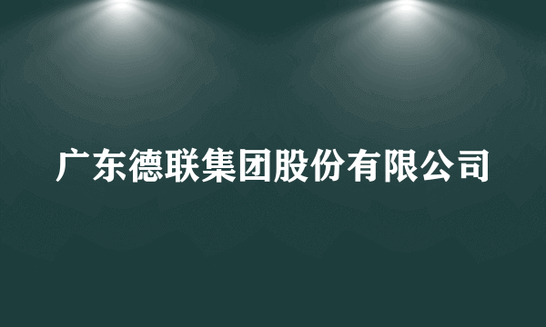 广东德联集团股份有限公司
