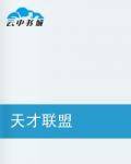 天才联盟（小说）