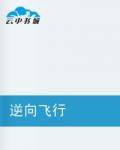 逆向飞行（矛剑所著小说）