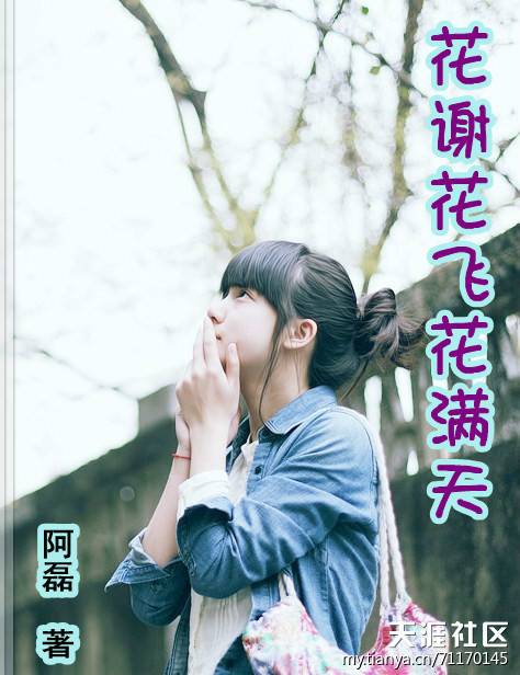 花谢花飞花满天（网络小说）