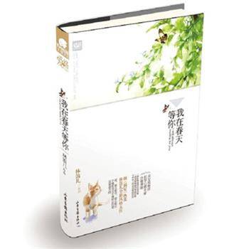 我在春天等你（2013年山东画报出版社出版的图书）