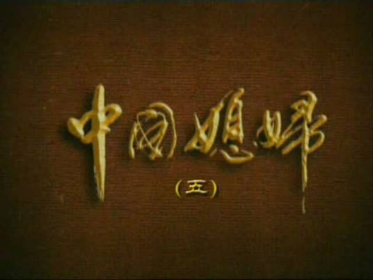 中国媳妇（2003年罗福执导家庭伦理系列剧）