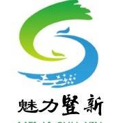 竖新镇