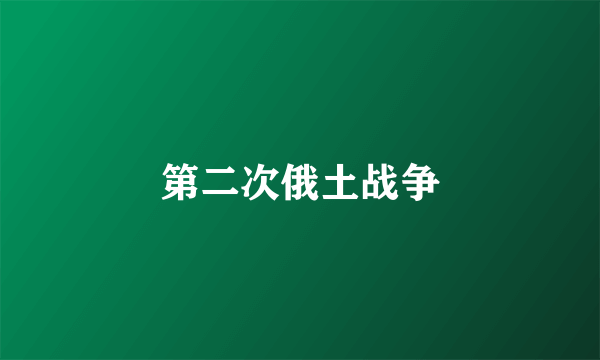 第二次俄土战争