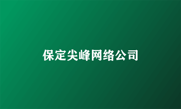 保定尖峰网络公司