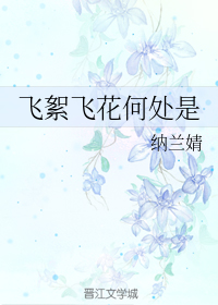 飞花何处是（纳兰婧著网络小说）