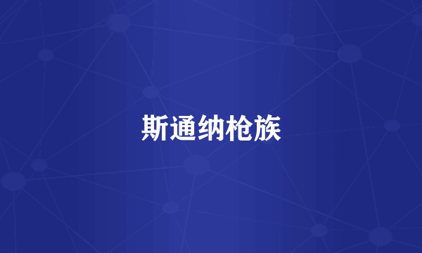 斯通纳枪族