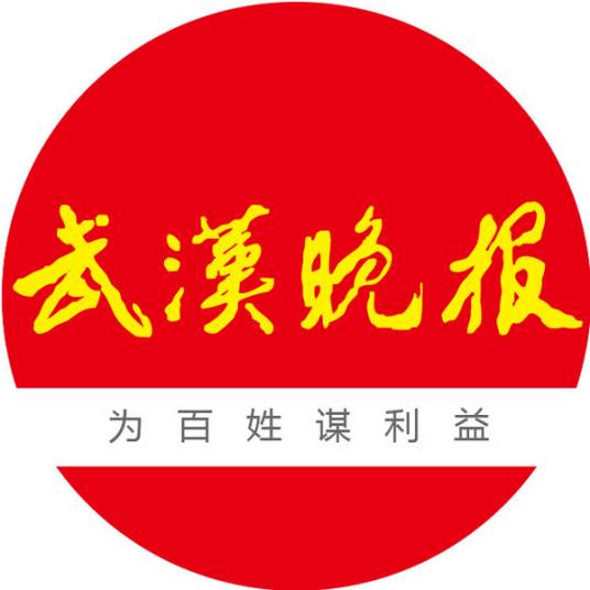 武汉晚报