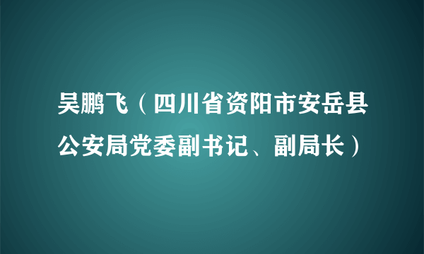 吴鹏飞（四川省资阳市安岳县公安局党委副书记、副局长）