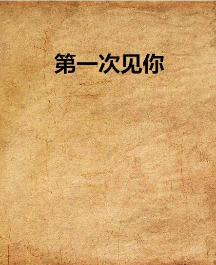 第一次见你（小说）