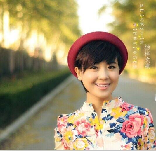 垂帘听政（杨梓文祺演唱的歌曲）