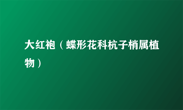 大红袍（蝶形花科杭子梢属植物）