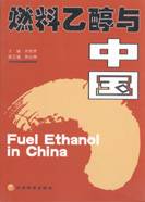 燃料乙醇与中国