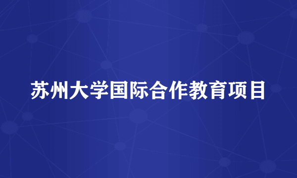 苏州大学国际合作教育项目