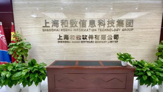 上海和数信息科技集团有限公司