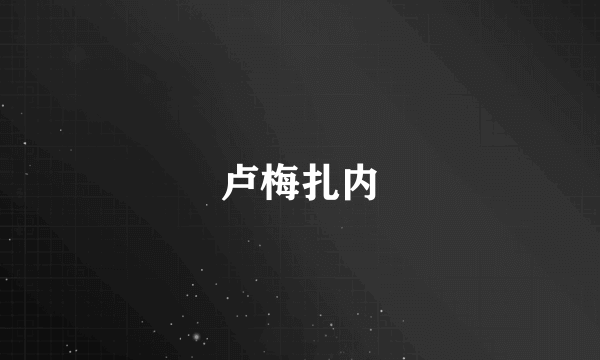 卢梅扎内