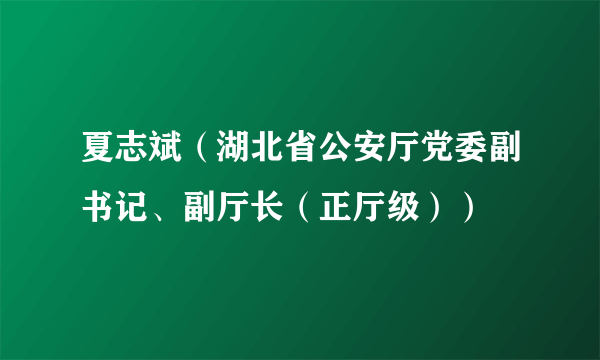 夏志斌（湖北省公安厅党委副书记、副厅长（正厅级））