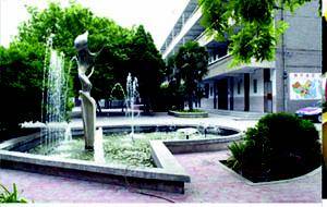 西安大学南路小学
