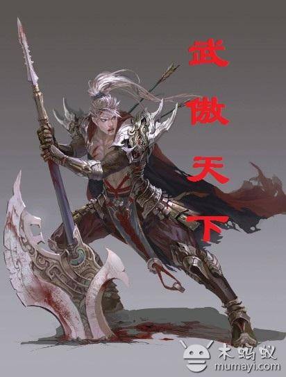 武傲天下