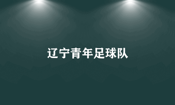 辽宁青年足球队