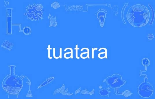 tuatara