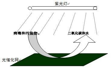 光催化空气消毒机