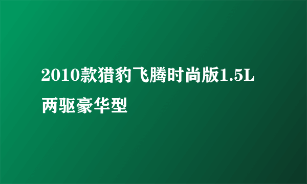 2010款猎豹飞腾时尚版1.5L两驱豪华型