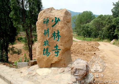 少林农场