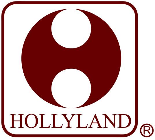 好利来（中国）电子科技股份有限公司