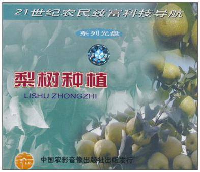 梨树种植