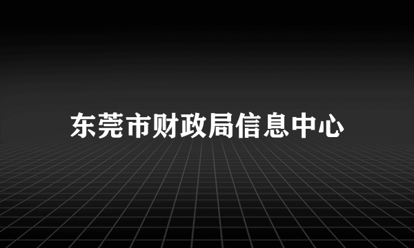 东莞市财政局信息中心