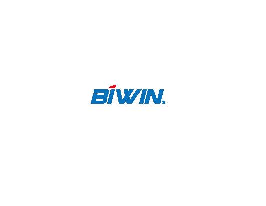 BIWIN