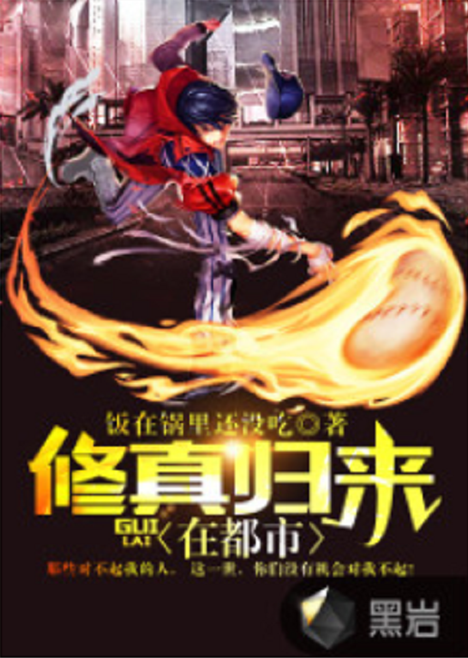 修真归来在都市（饭在锅里还没吃创作的社会类网络小说）