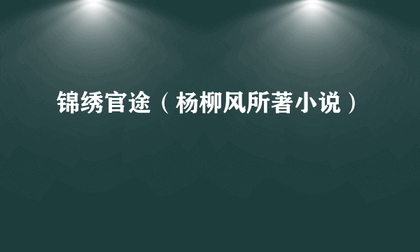 锦绣官途（杨柳风所著小说）