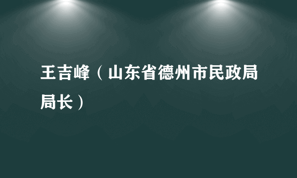 王吉峰（山东省德州市民政局局长）