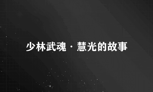 少林武魂·慧光的故事