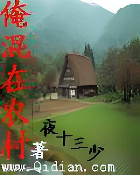 俺混在农村