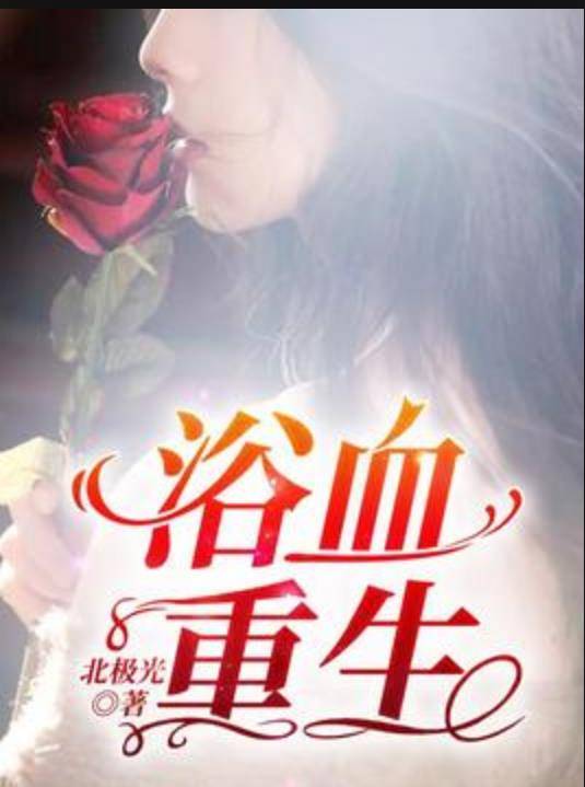 浴血重生（北极光所著小说）