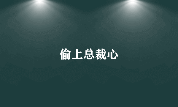 偷上总裁心